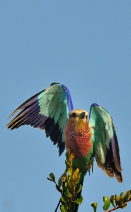 Photography Randburg